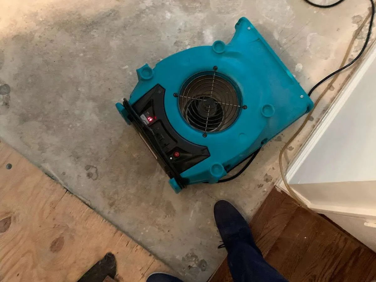 Air mover drying subfloor during Commercial Water Damage Restoration in Eugene